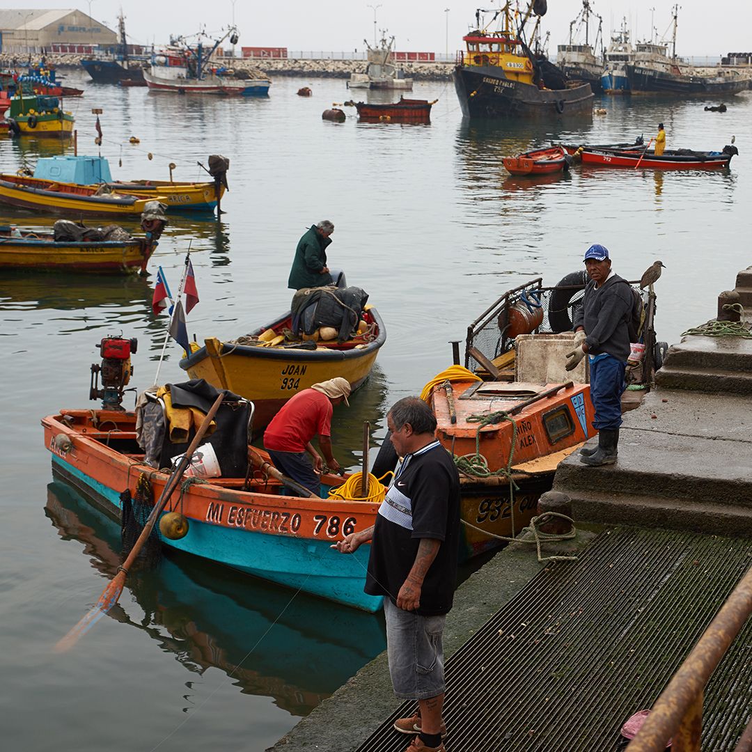 Pescadores trabajando junto a botes de colores en una caleta chilena